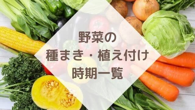 野菜の種まき 植え付け時期一覧 いえべじ